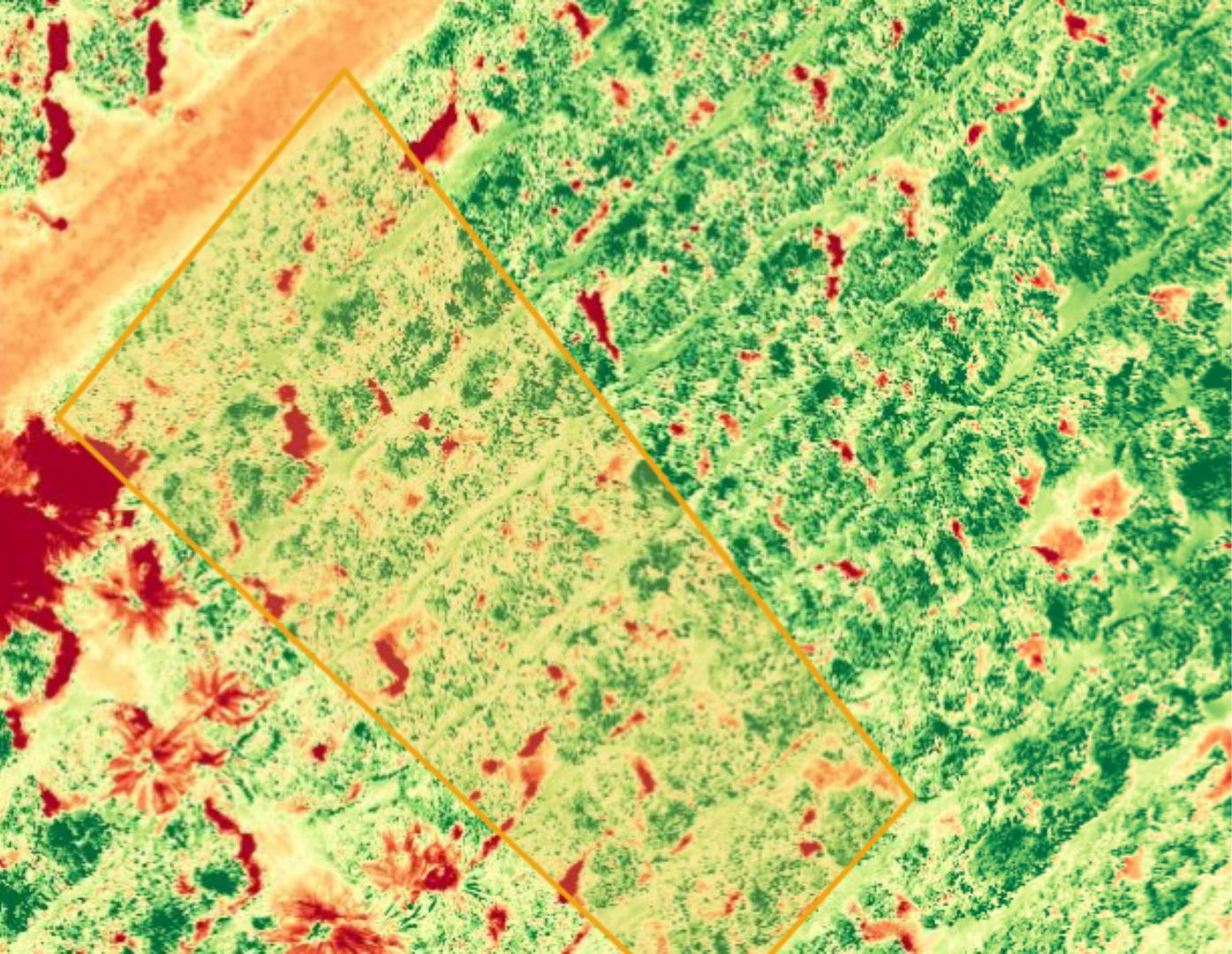 Fertility Assessment