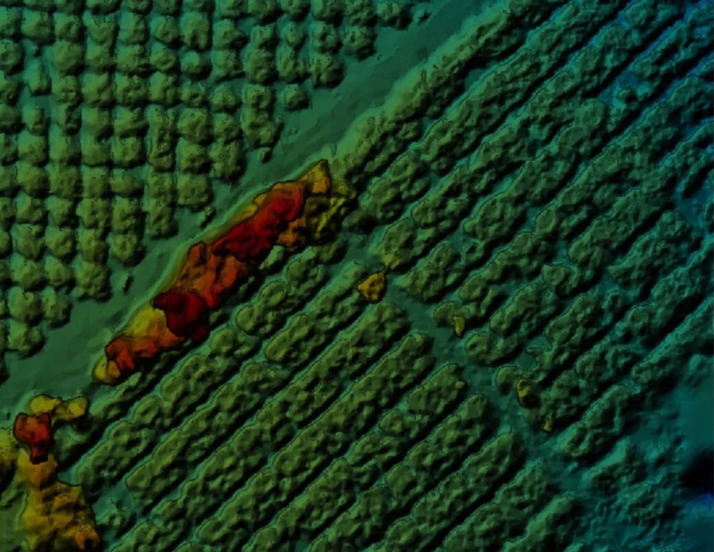 Irrigation & Drainage